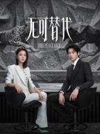 无可替代连续剧